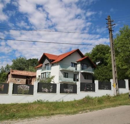 Pensiunea Albero Curtea de Argeş Exteriör bild