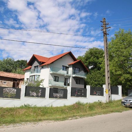 Pensiunea Albero Curtea de Argeş Exteriör bild