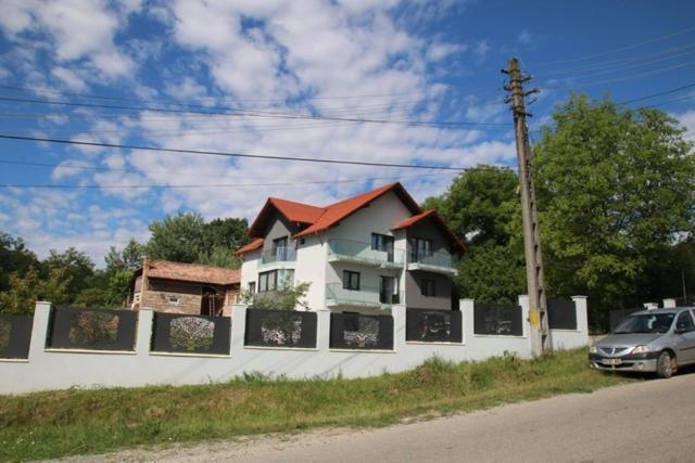 Pensiunea Albero Curtea de Argeş Exteriör bild