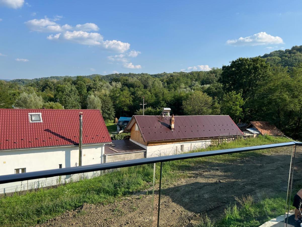Pensiunea Albero Curtea de Argeş Exteriör bild